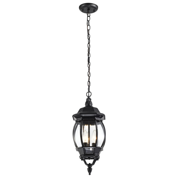 Sol 72 Outdoor™ 3 Light Outdoor Hanging Lantern & Reviews Wayfair(02)
